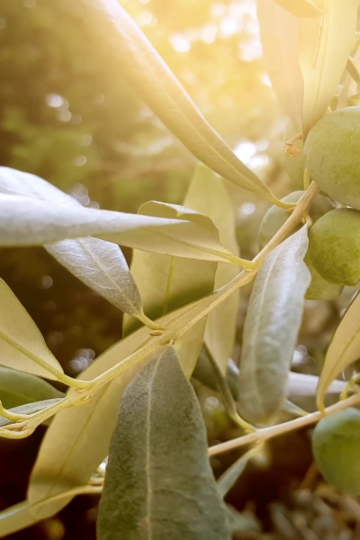 vlcsnap-2025-03-15-23h57m06s060