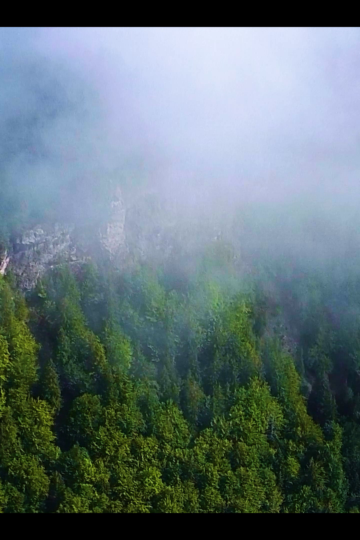 vlcsnap-2025-04-02-20h35m57s079